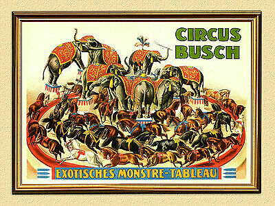 Circus busch exotisches - busch,