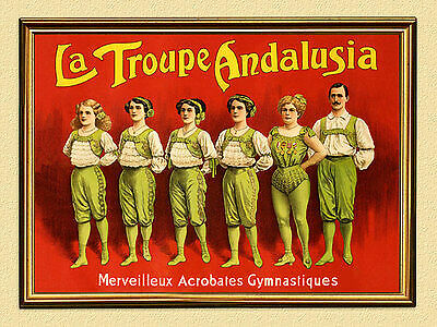 Circus plakat zirkus - circus,