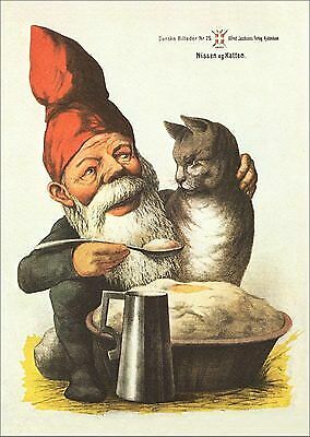 Zwerg katze dänemark nissen - katze,